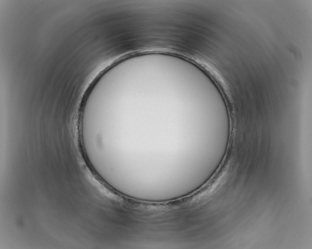 X0000111370941200907101014