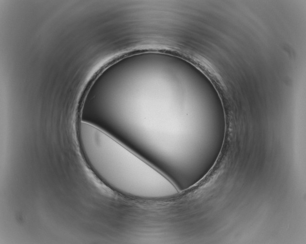 X0000111370942200907101014