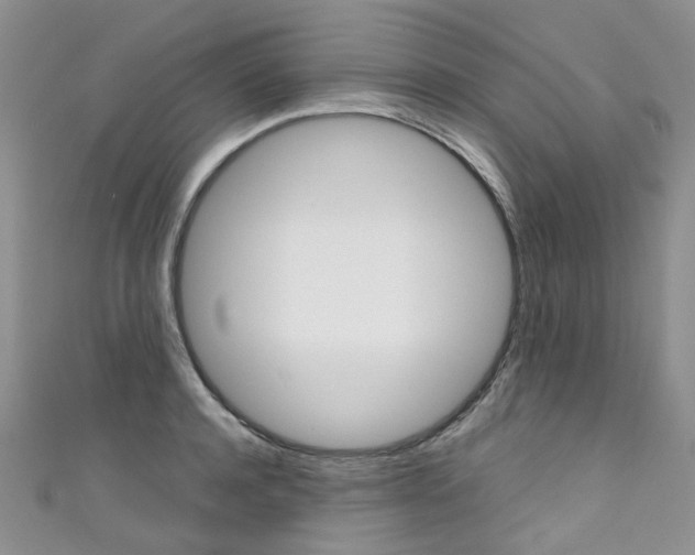 X0000111370944200907101014