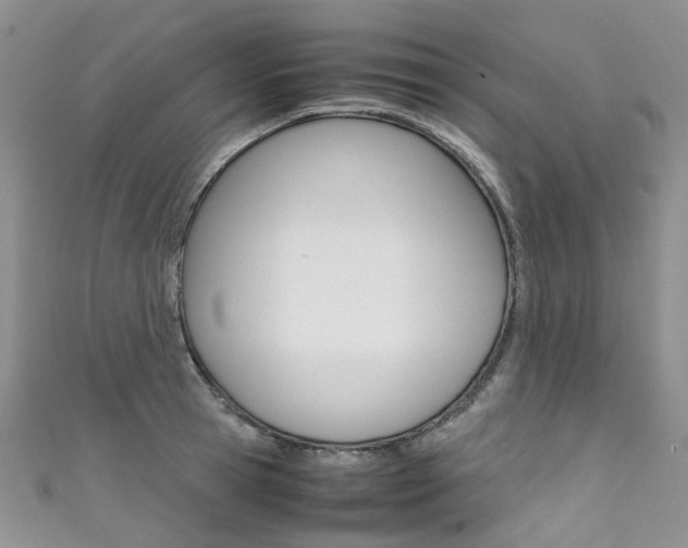 X0000111370945200907101014