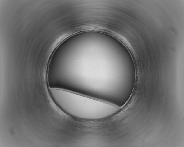 X0000111370946200907101014