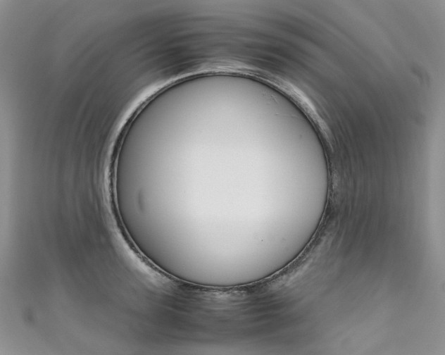 X0000111370947200907101014