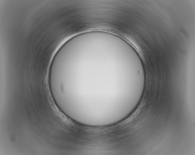 X0000111370948200907101014