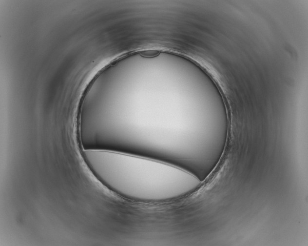X0000111370949200907101014