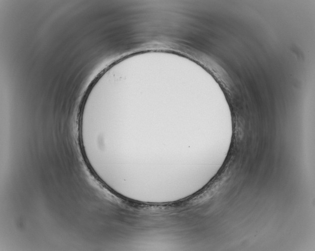 X0000111370950200907101014