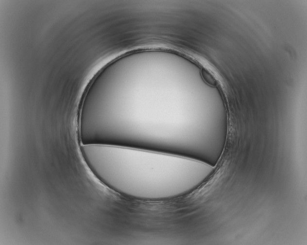 X0000111370951200907101014