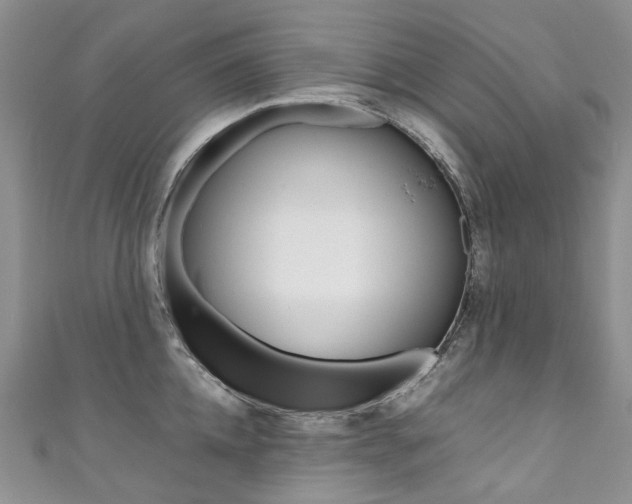 X0000111370952200907101014