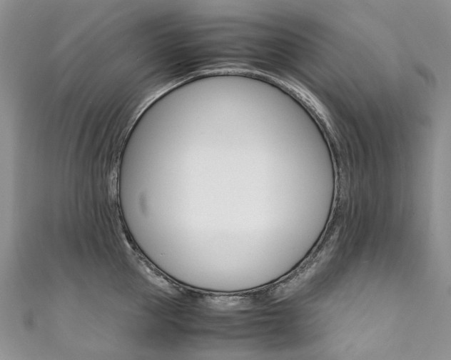 X0000111370953200907101014