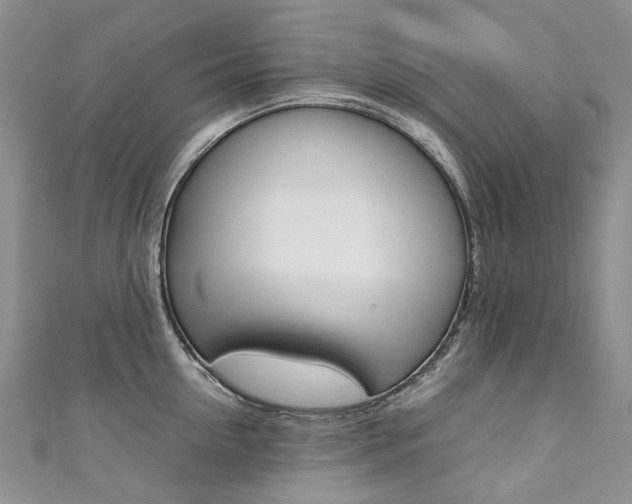 X0000111370954200907101014