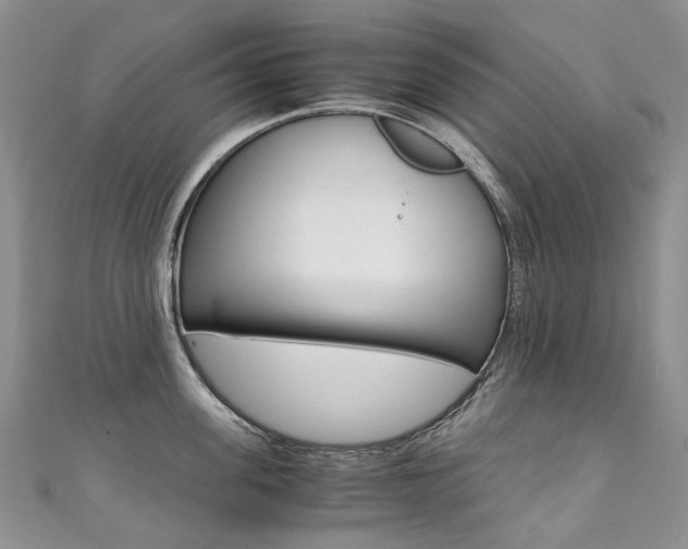 X0000111370955200907101014