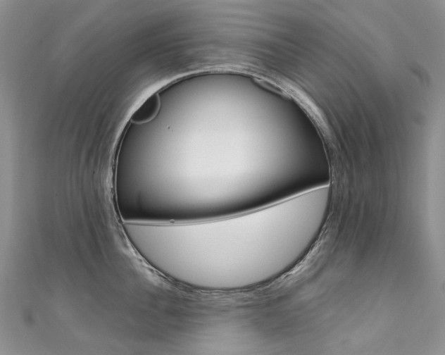 X0000111370956200907101014