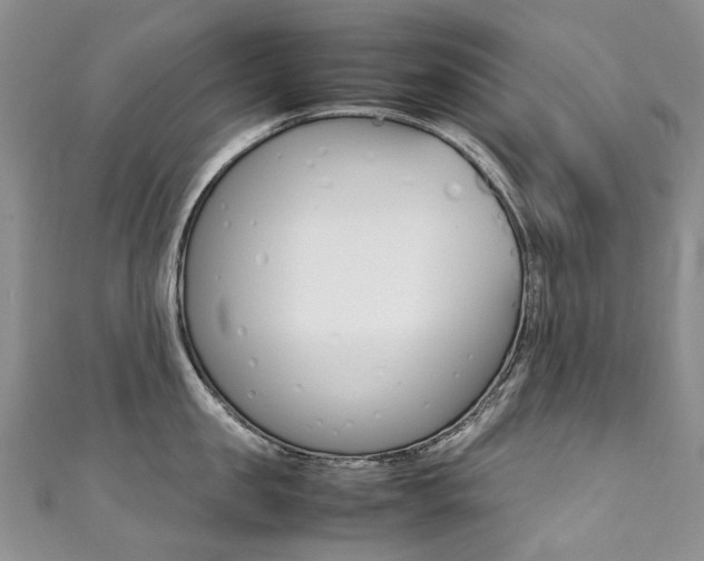 X0000111370957200907101014