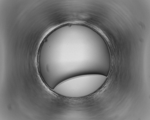 X0000111370959200907101014