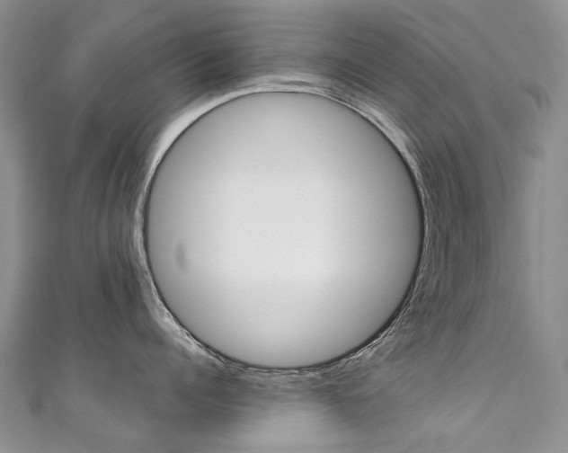 X0000111370960200907101014