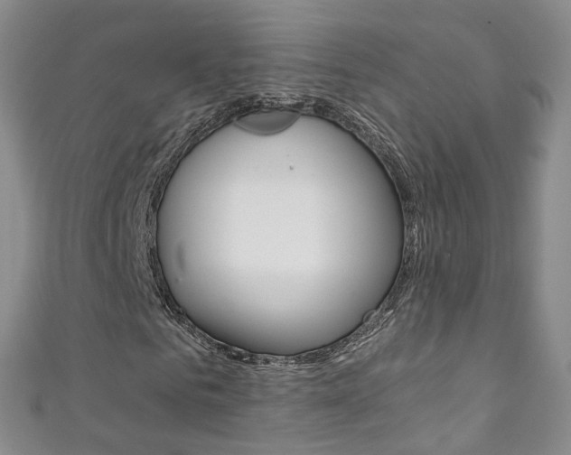 X0000111370961200907101014