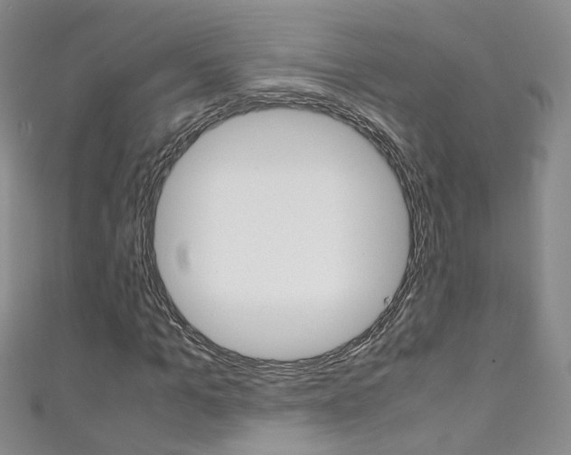X0000111370965200907101014
