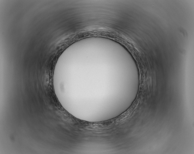 X0000111370966200907101014