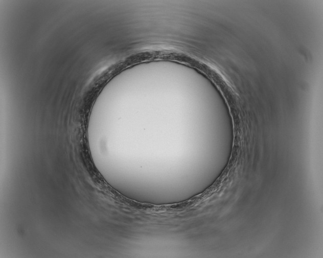 X0000111370967200907101014