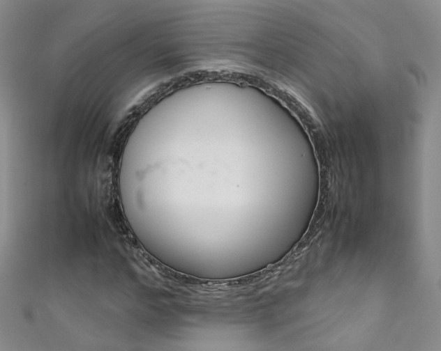 X0000111370968200907101013