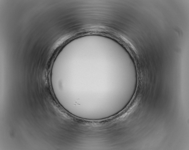 X0000111370970200907101013