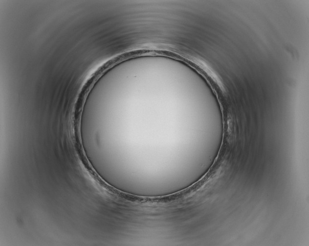 X0000111370972200907101013
