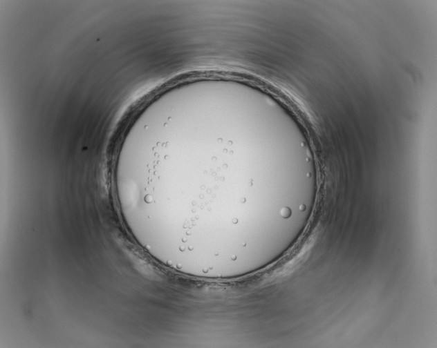 X0000111370974200907101013