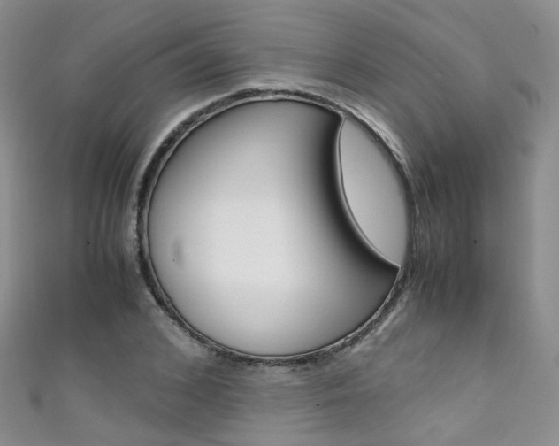 X0000111370976200907101013
