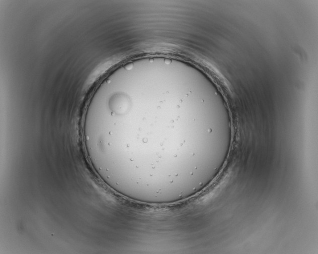 X0000111370978200907101013