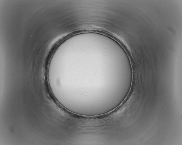X0000111370979200907101013