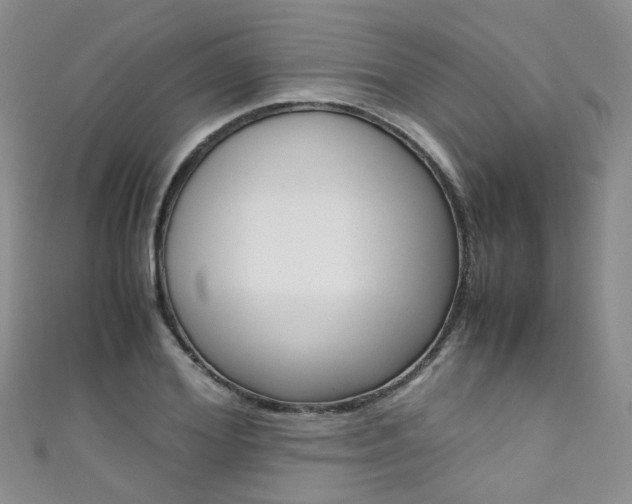 X0000111370980200907101013