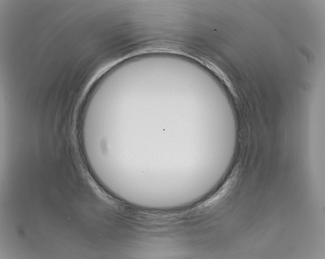 X0000111370981200907101013