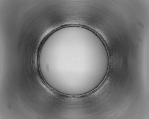 X0000111370982200907101013