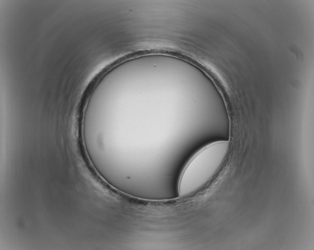 X0000111370983200907101013