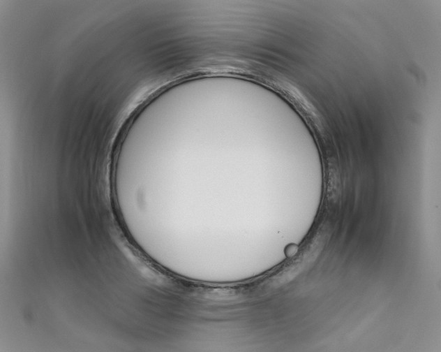 X0000111370986200907101013