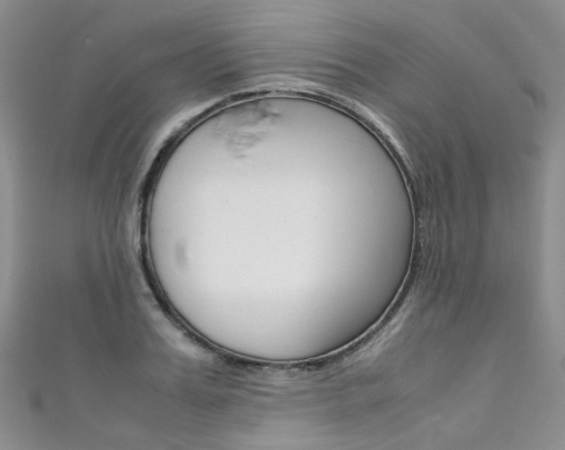 X0000111370987200907101013