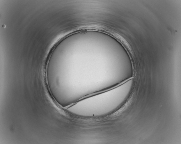 X0000111370989200907101013