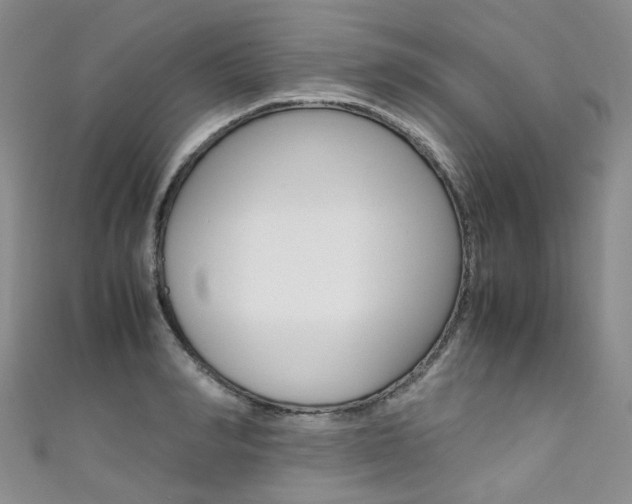 X0000111370990200907101013