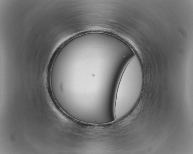 X0000111370991200907101013