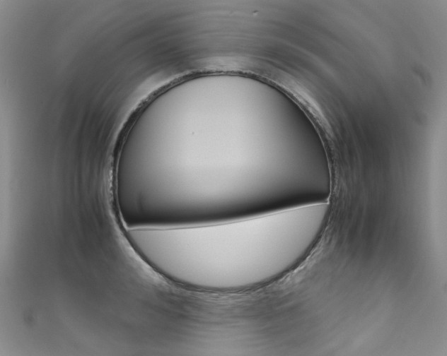 X0000111370992200907101013