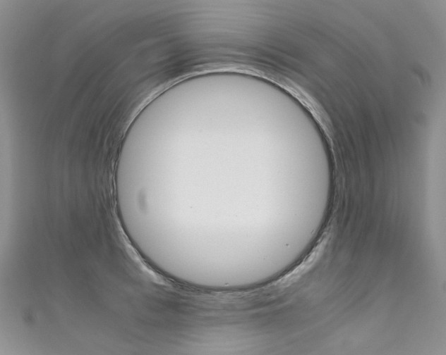 X0000111370993200907101013