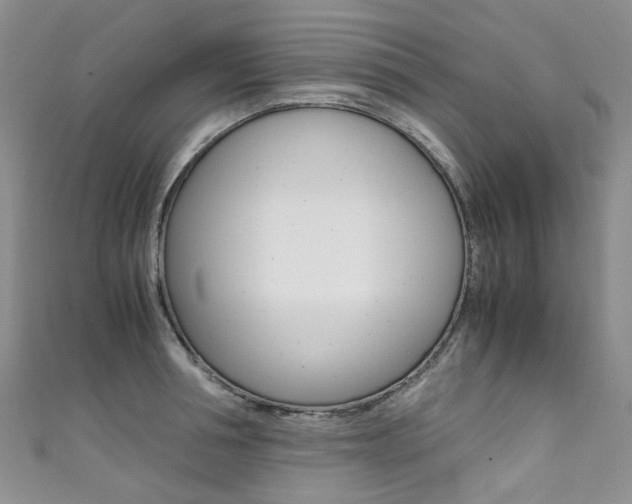 X0000111370994200907101013