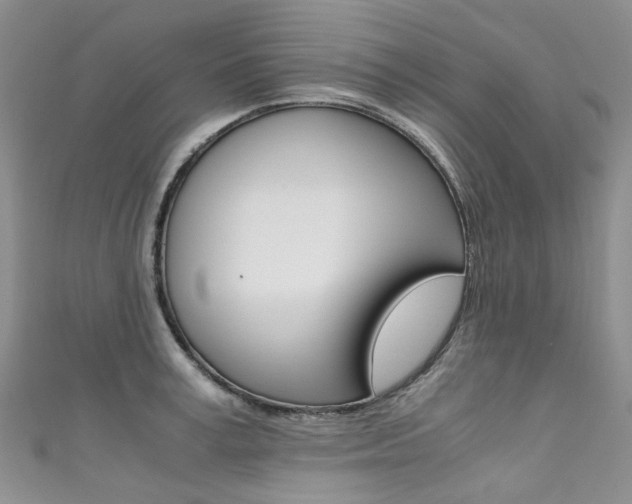 X0000111370995200907101013