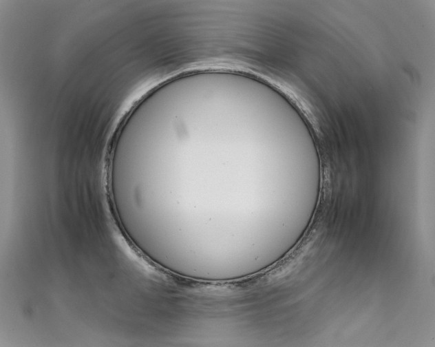 X0000111370998200907101013