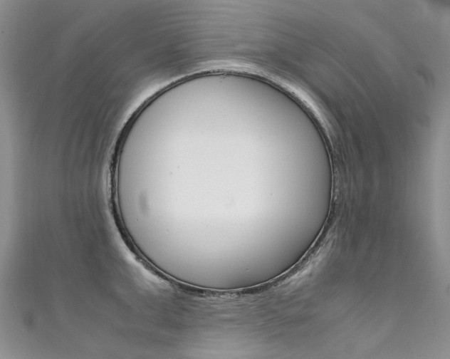 X0000111370999200907101013