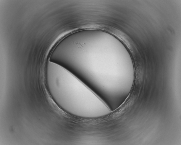 X0000111371000200907101013