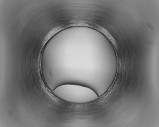 X0000111371002200907101013