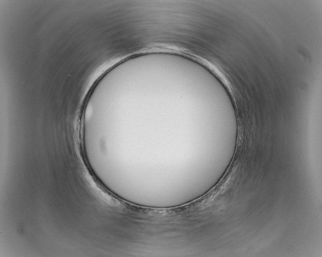 X0000111371003200907101013