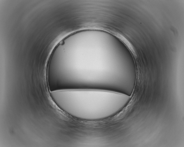 X0000111371004200907101013