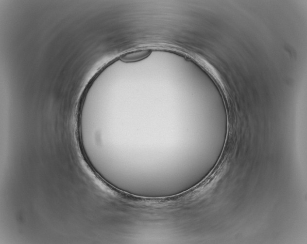 X0000111371005200907101013