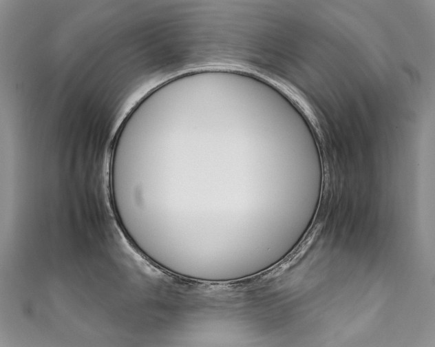 X0000111371006200907101013